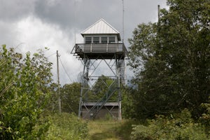 Hike to Cowee Bald Fire Tower