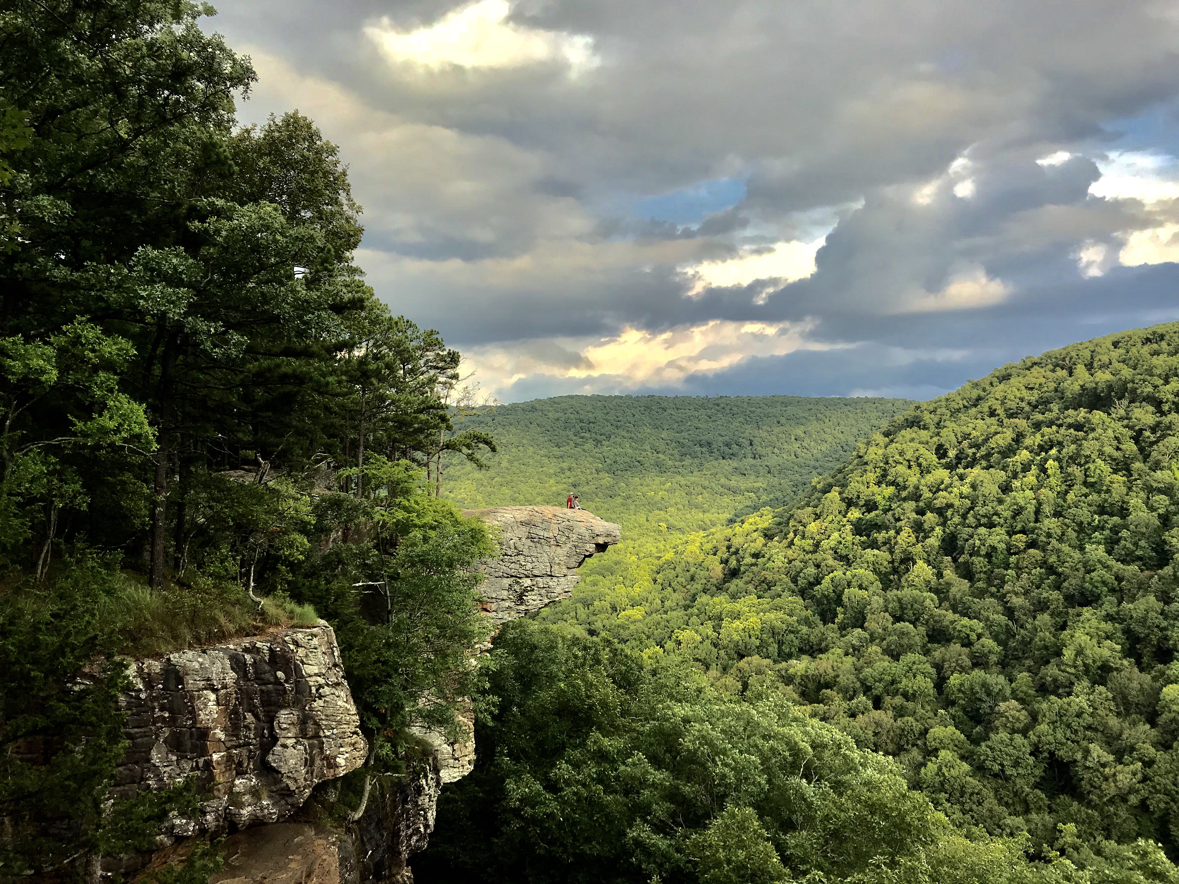 Hawksbill Crag via Whitaker Point Trail