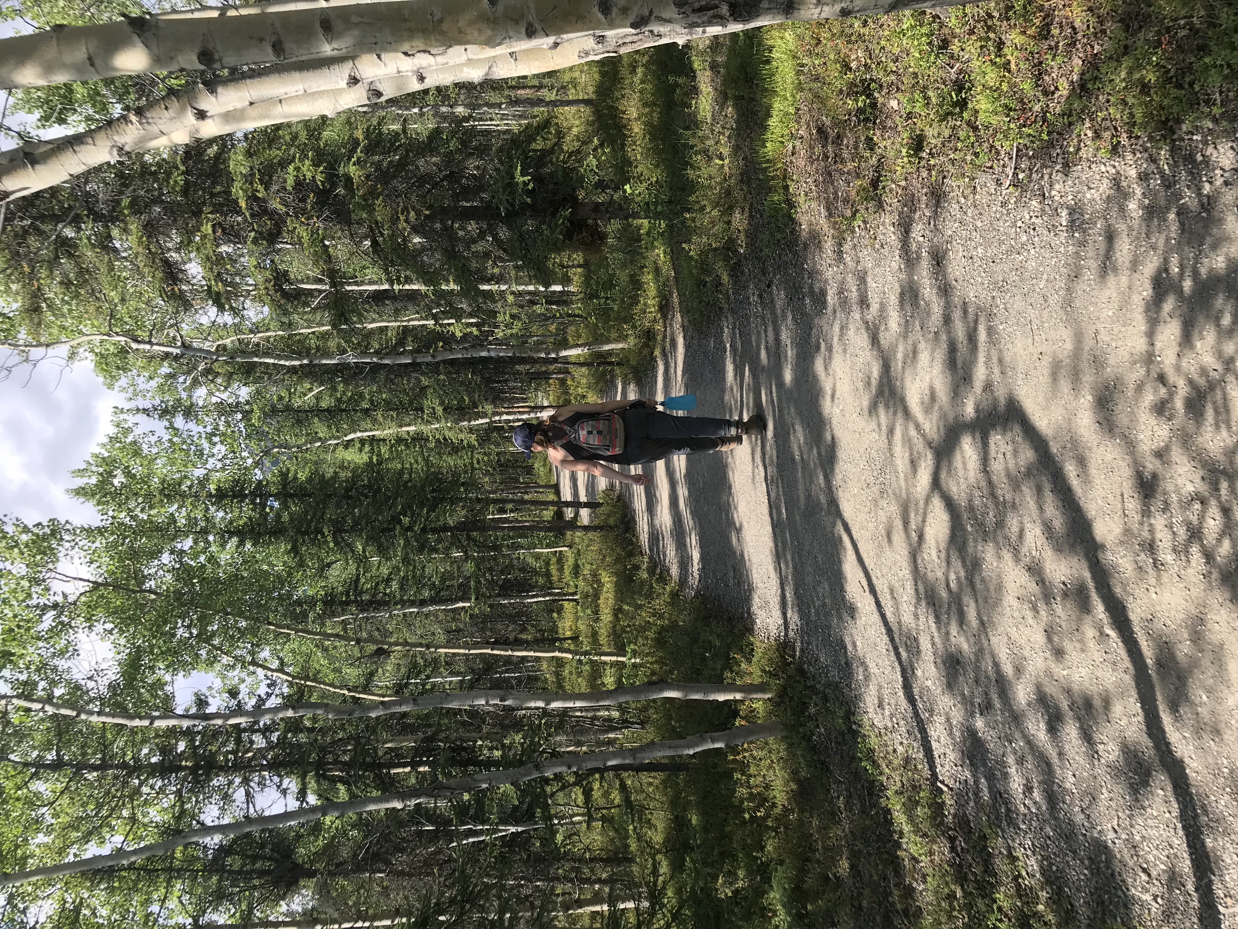 Hike the Taiga Trail 
