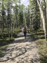 Hike the Taiga Trail 