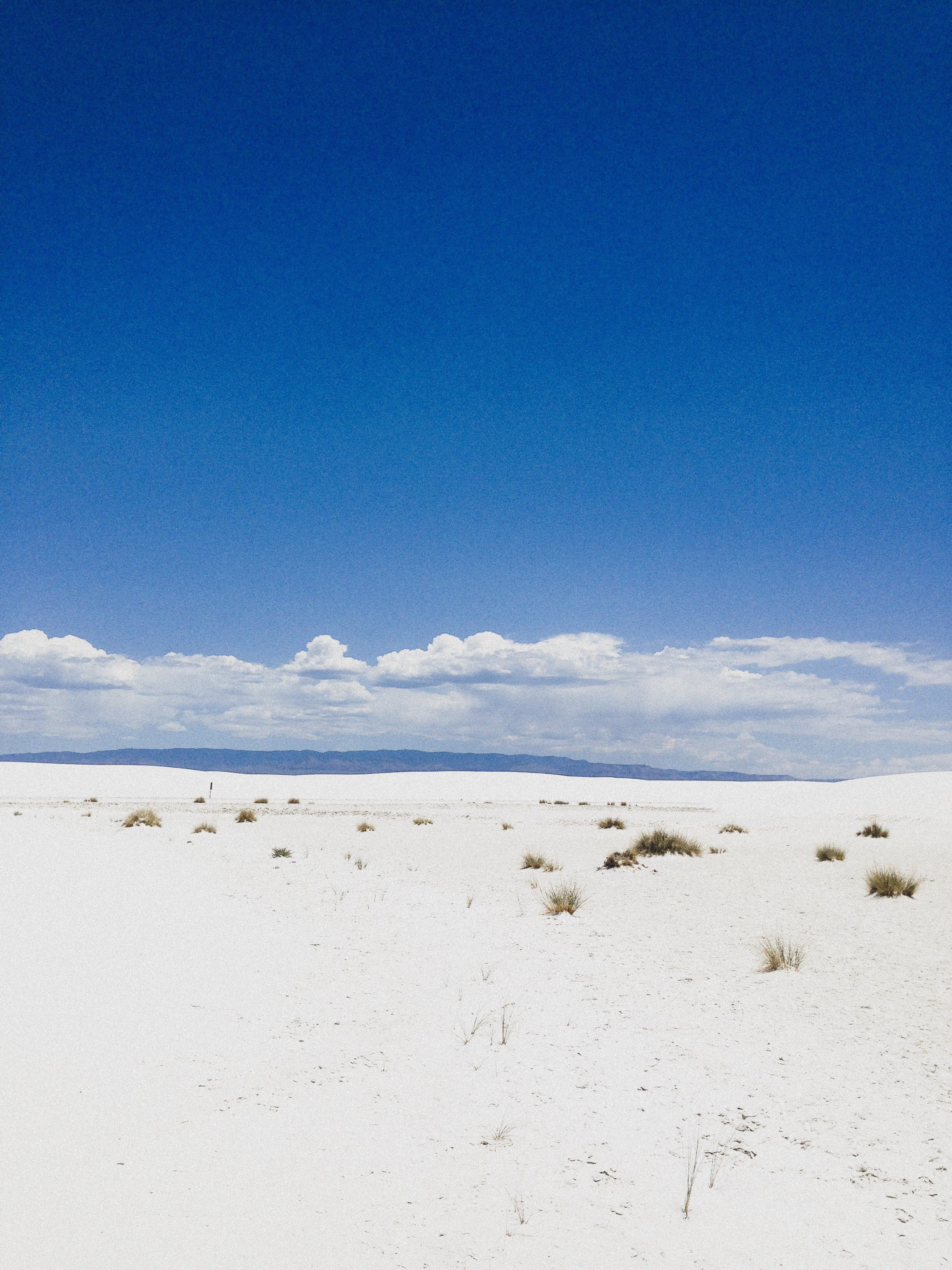 Playa Trail
