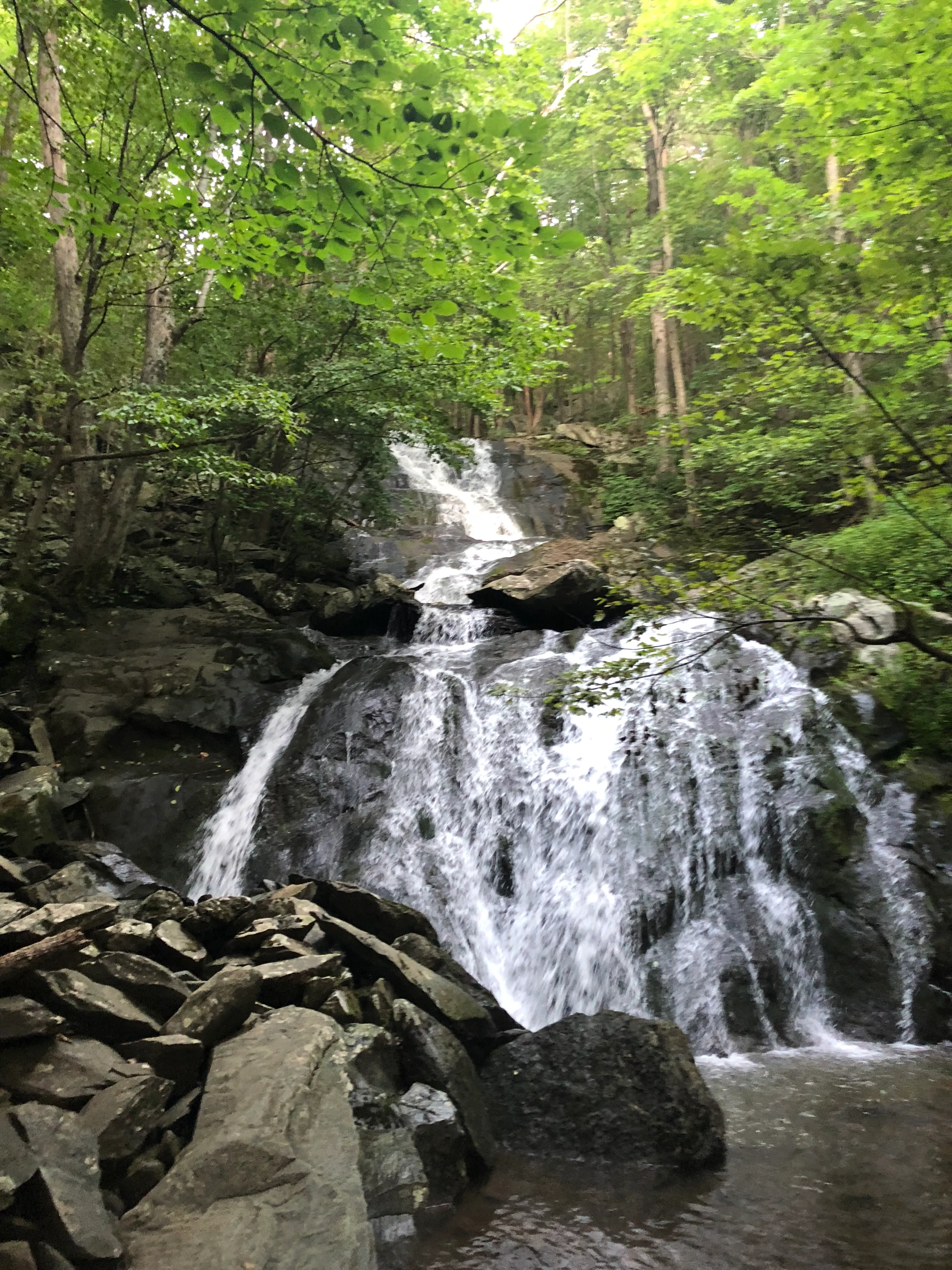 Shamokin Falls