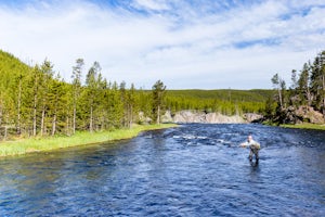 Fly Fish the Firehole River