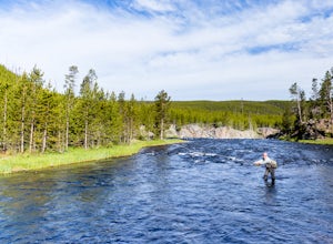 Fly Fish the Firehole River