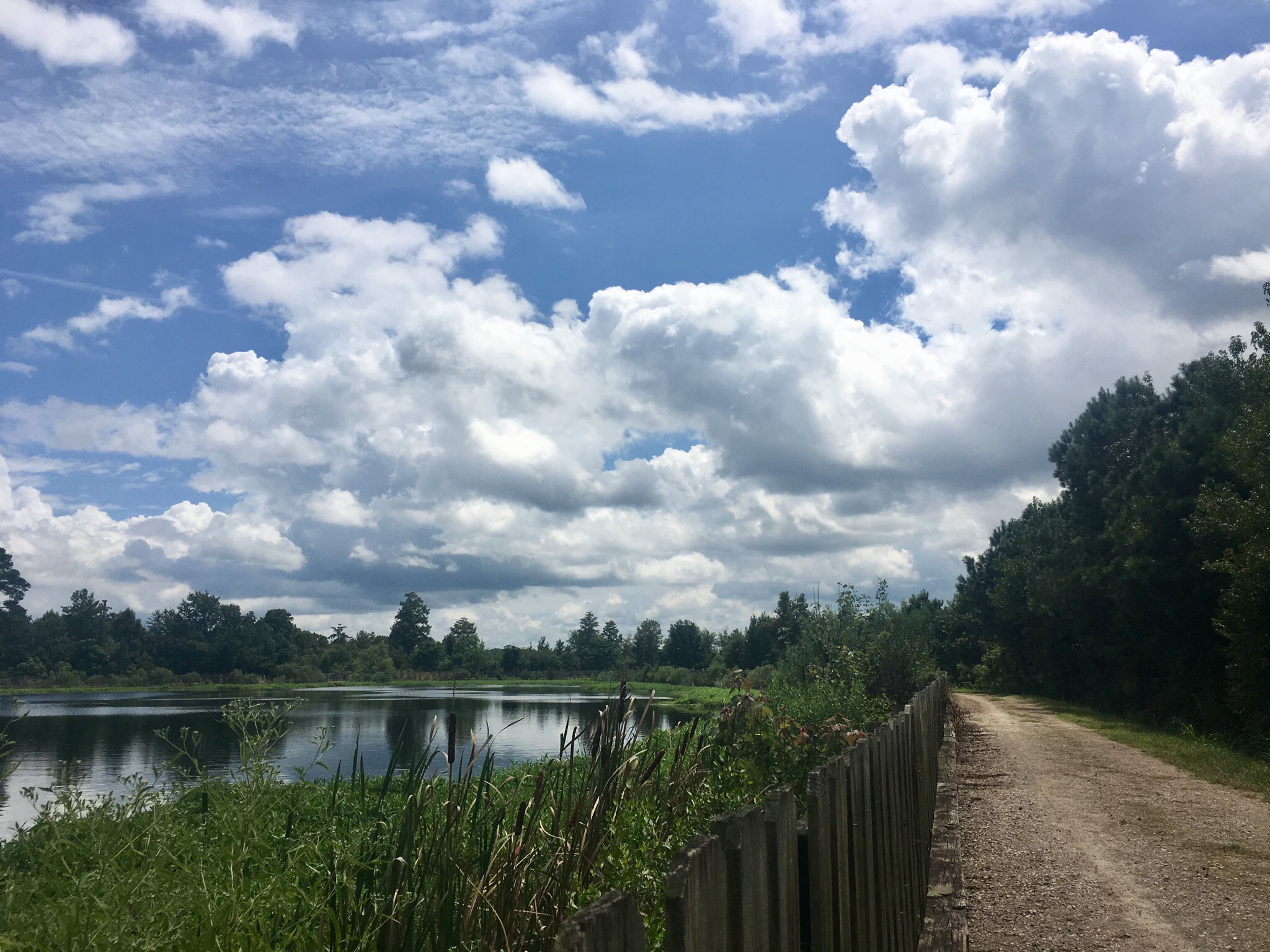 Wetland Trail and Beaver Dam Loop