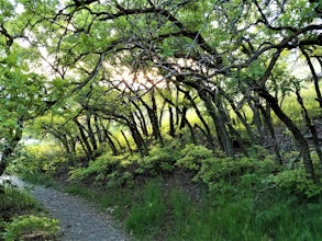 Hike Heughs Canyon (Olympus Waterfall)