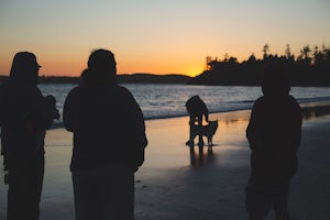 Take a Stroll at Mackenzie Beach