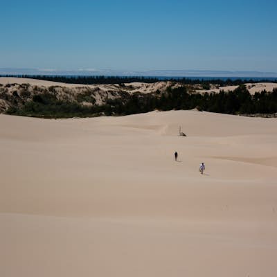 Hike the John Dellenback Dune Trail