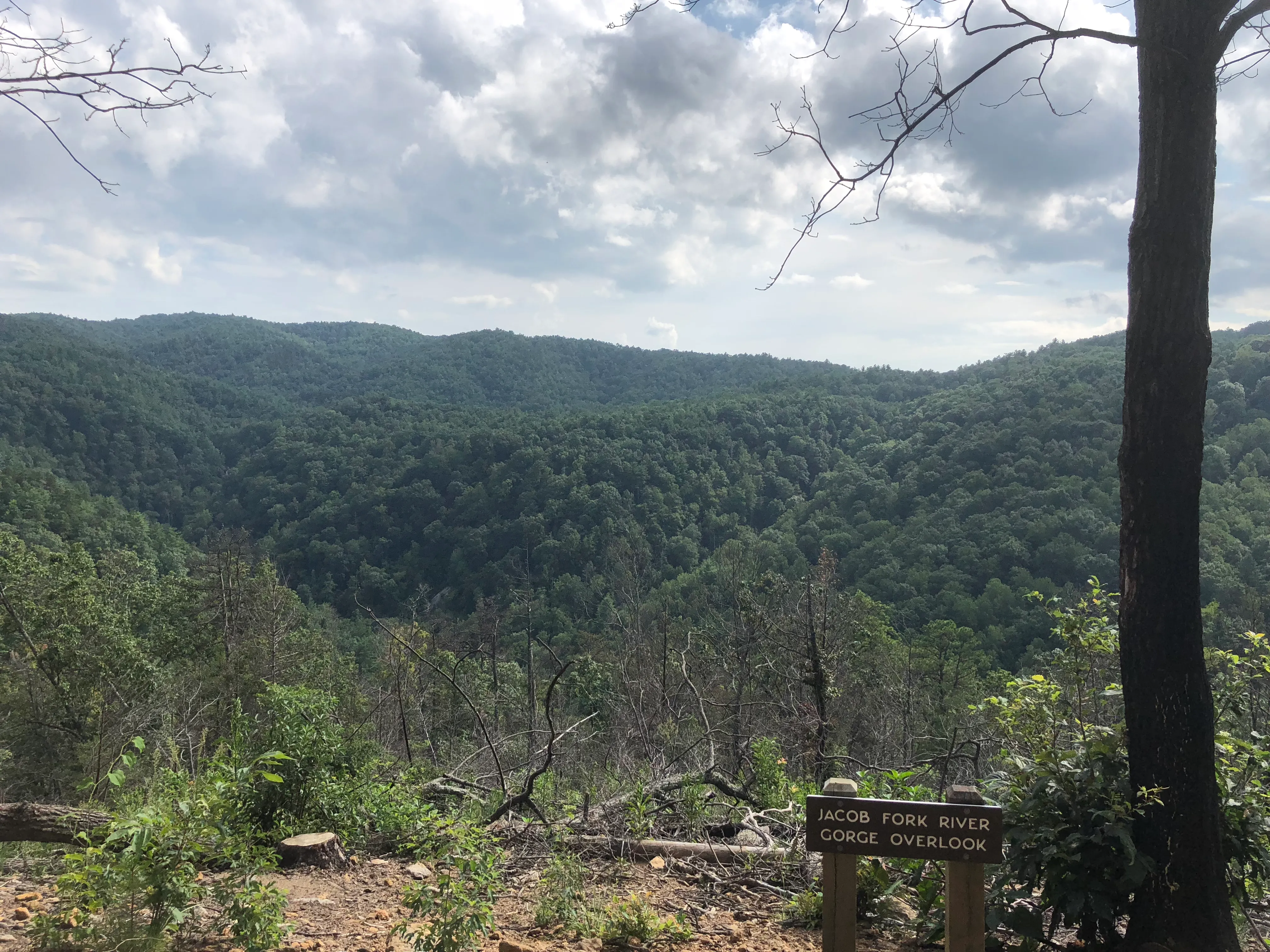 Chestnut Knob via River Trail
