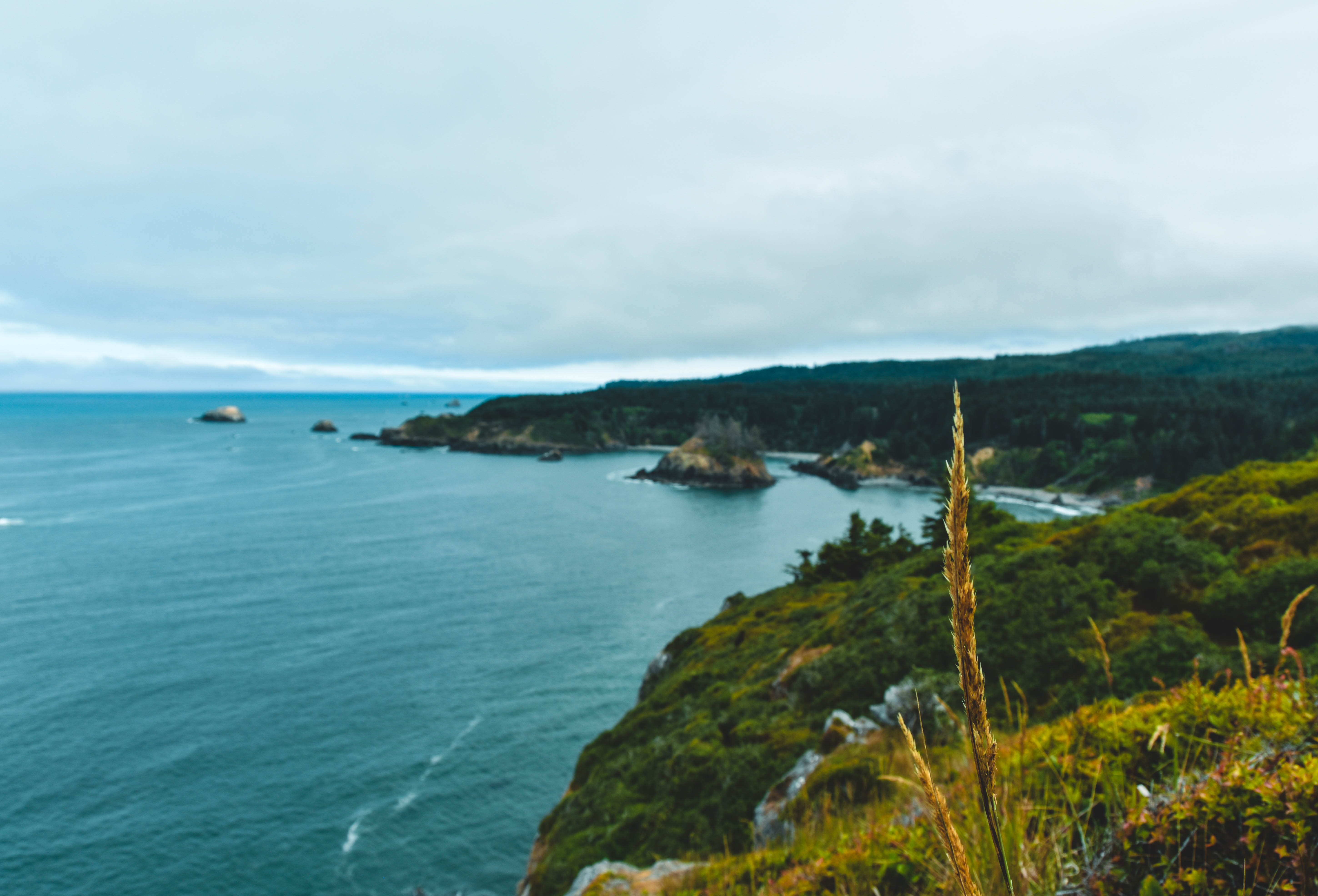 Trinidad Head