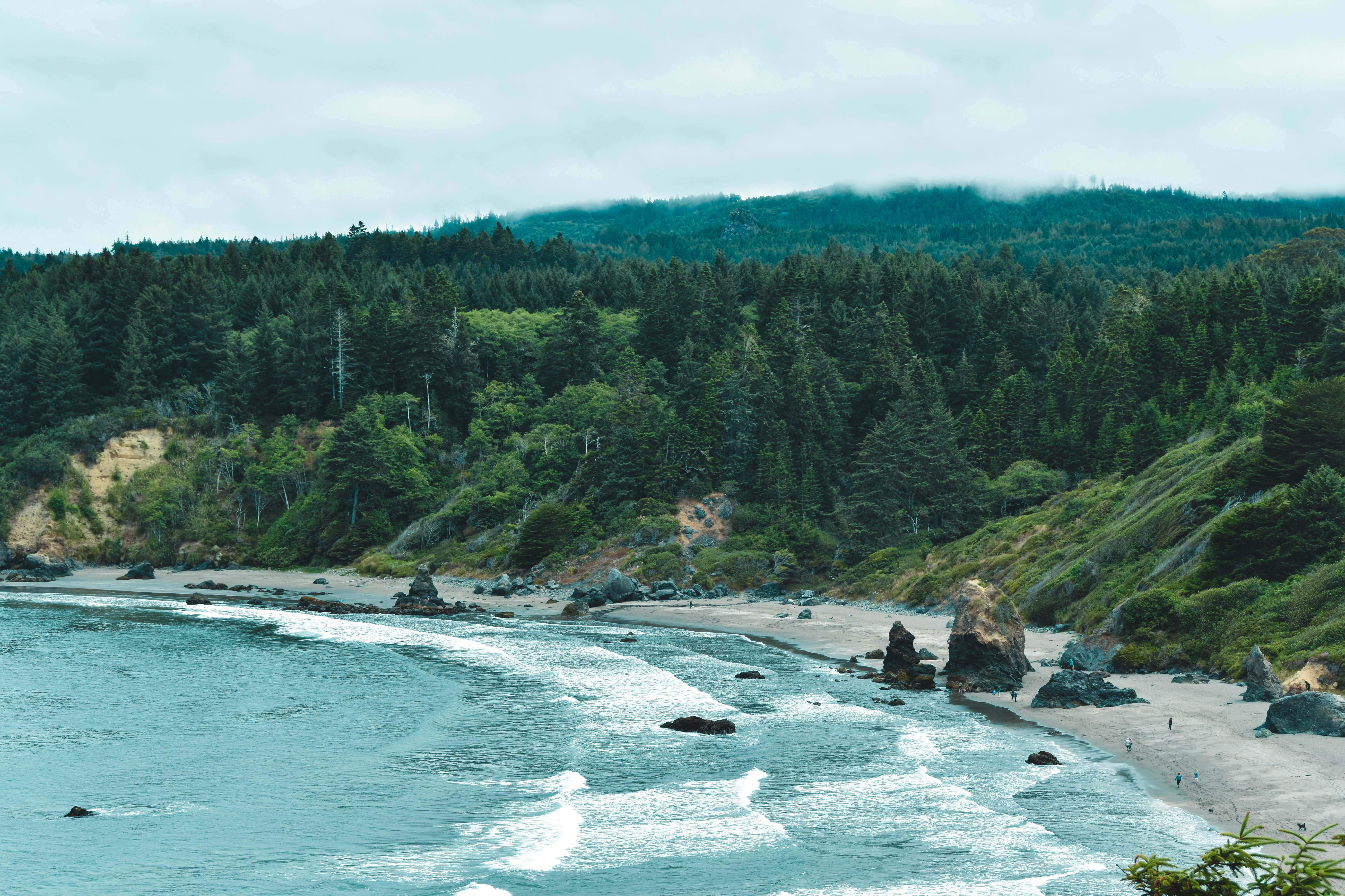 Trinidad Head