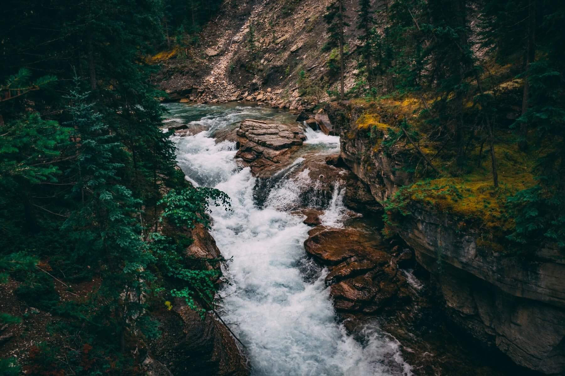 Maligne Canyon