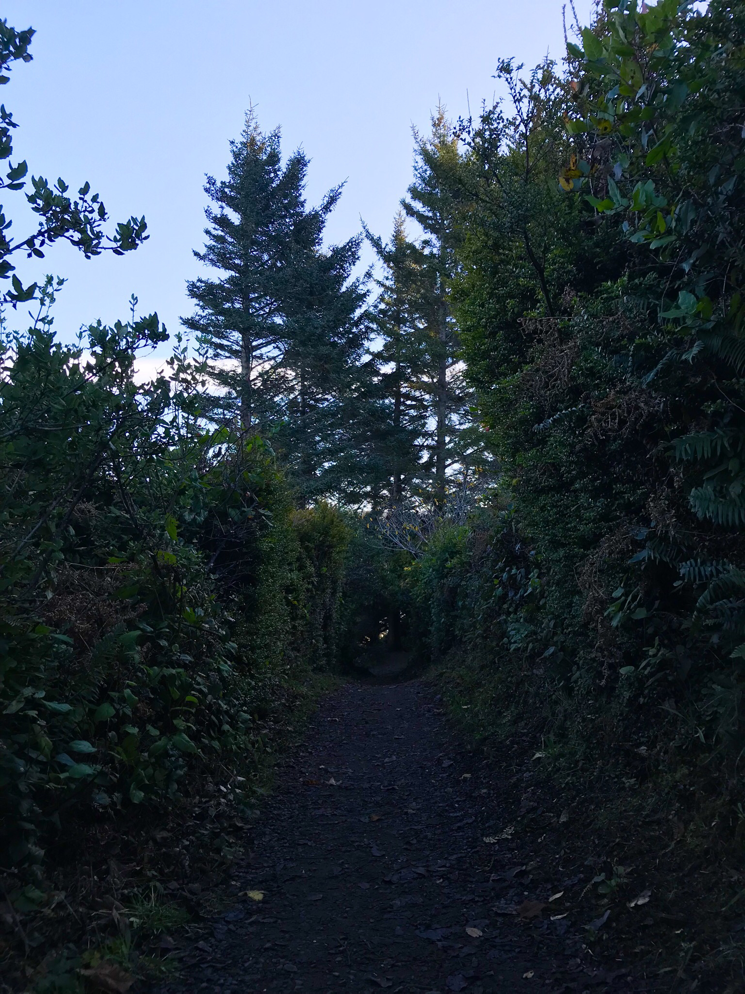 Trinidad Head