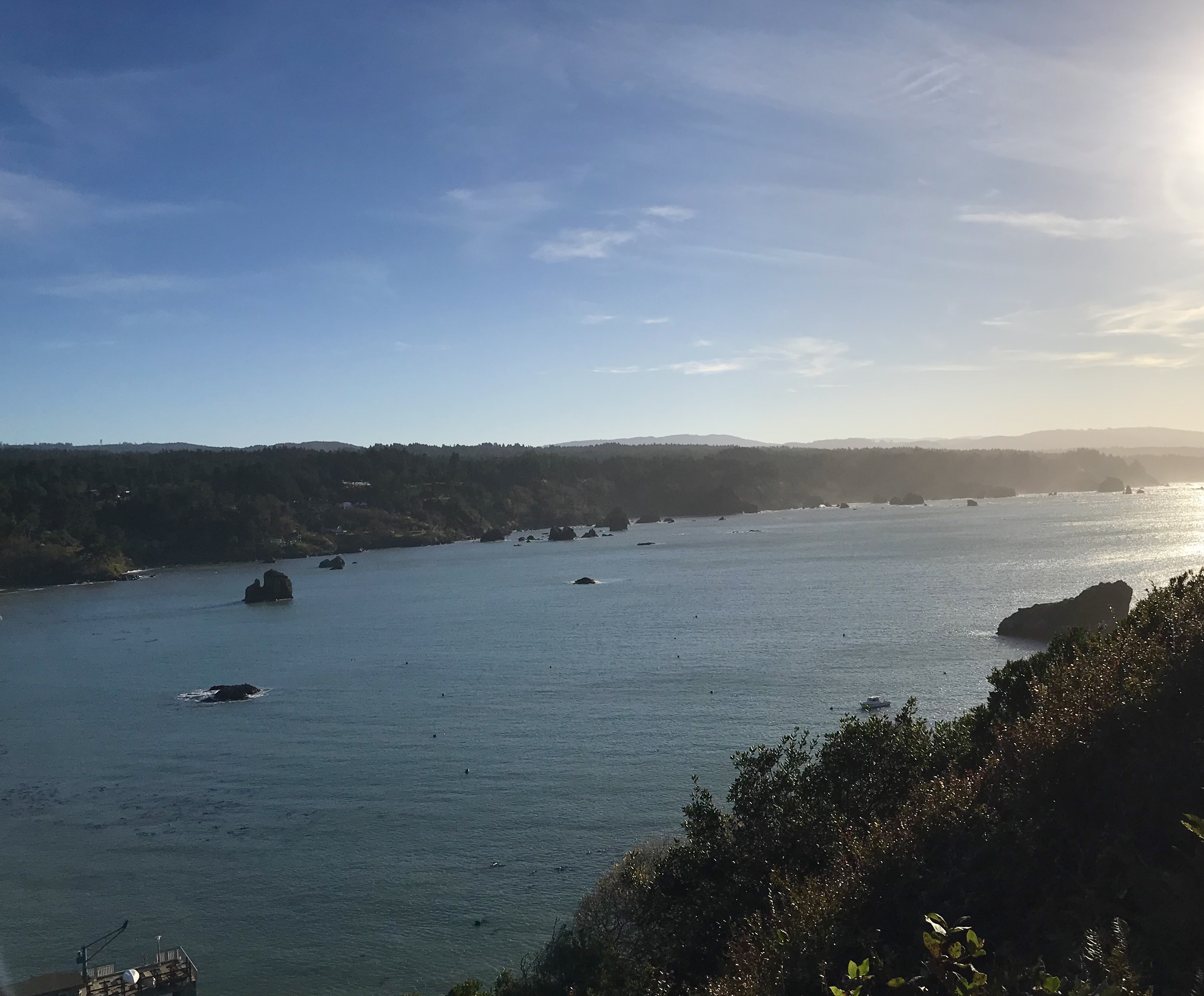 Trinidad Head