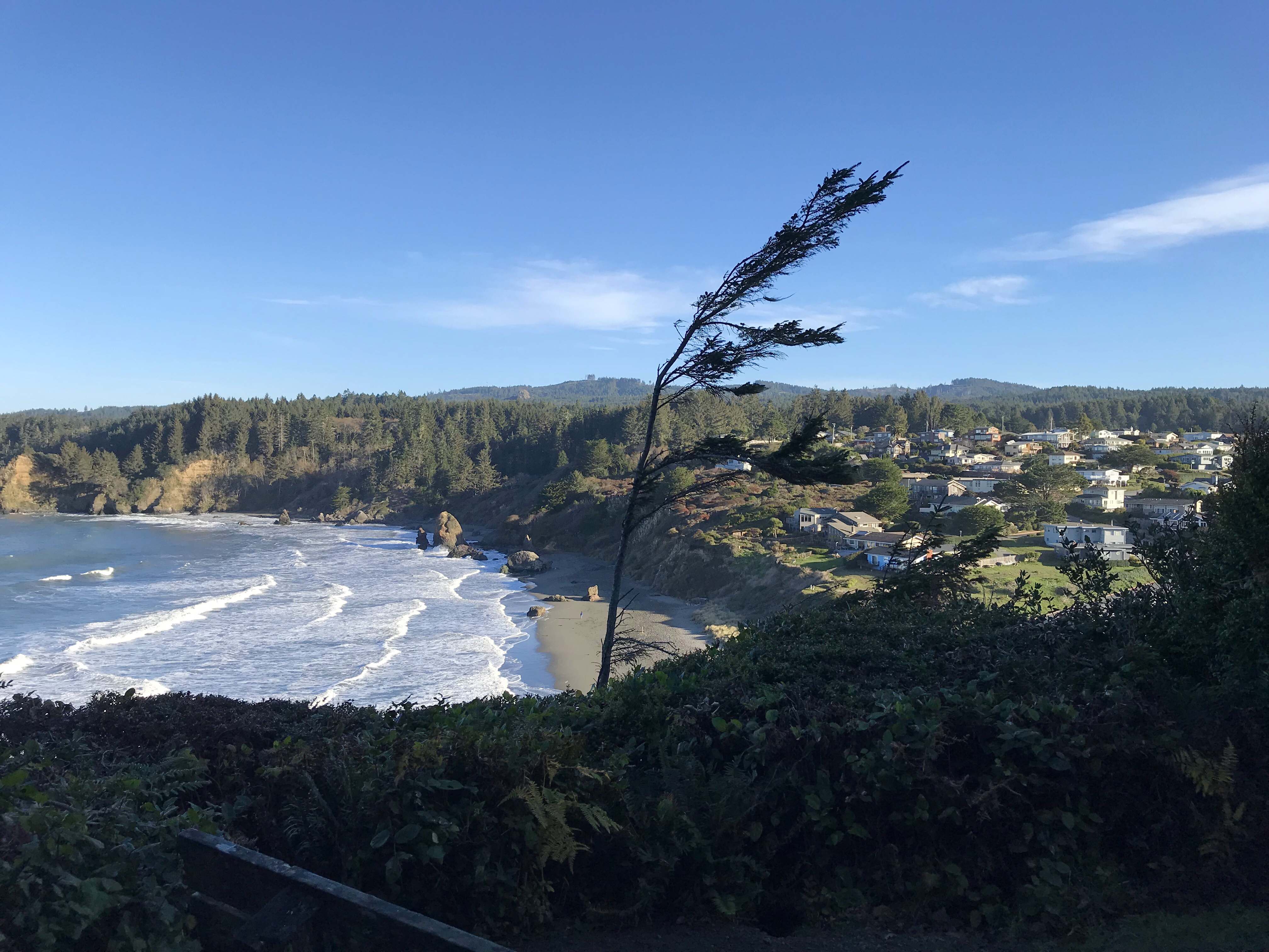 Trinidad Head