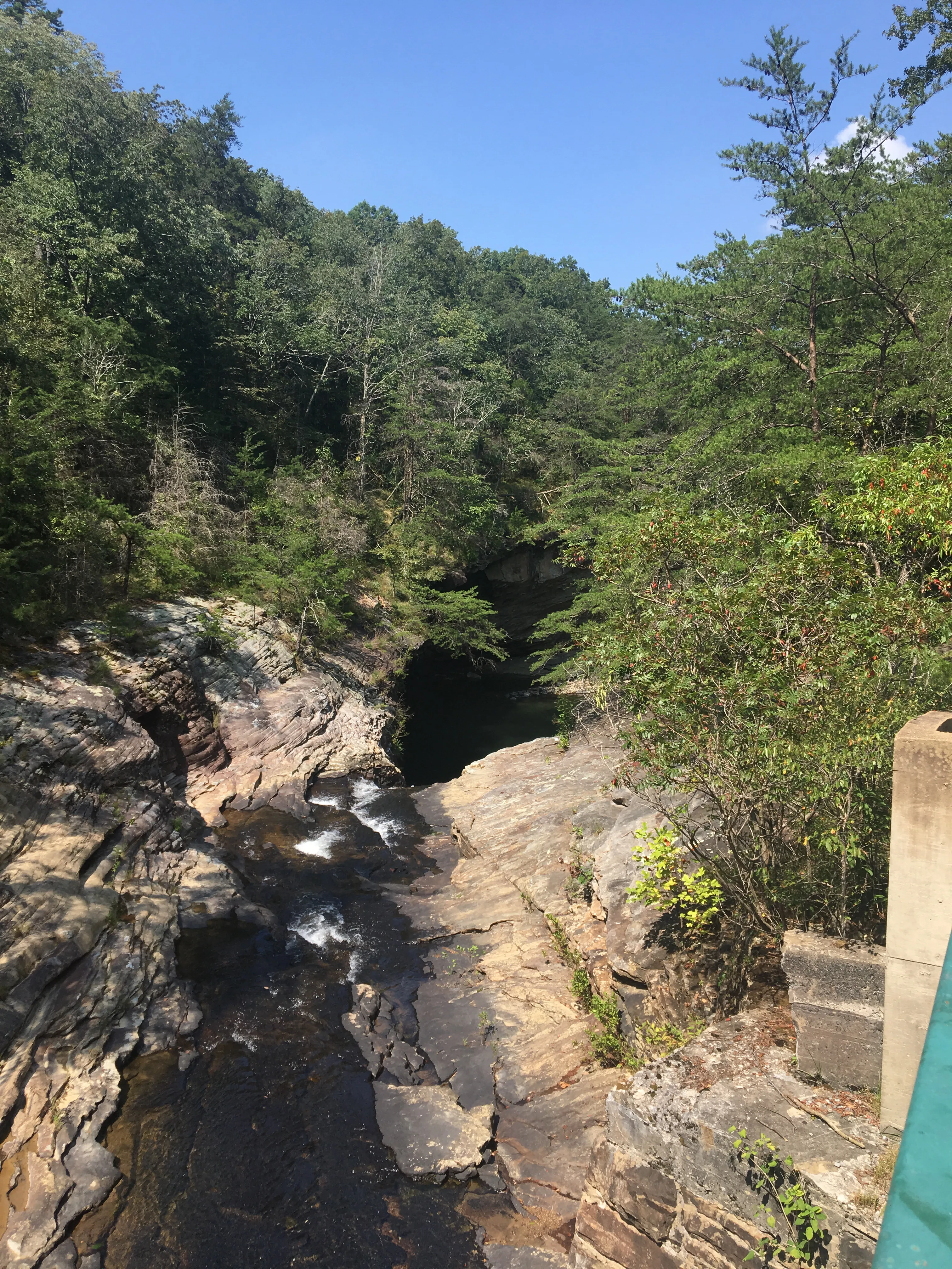 Lula Lake Land Trust