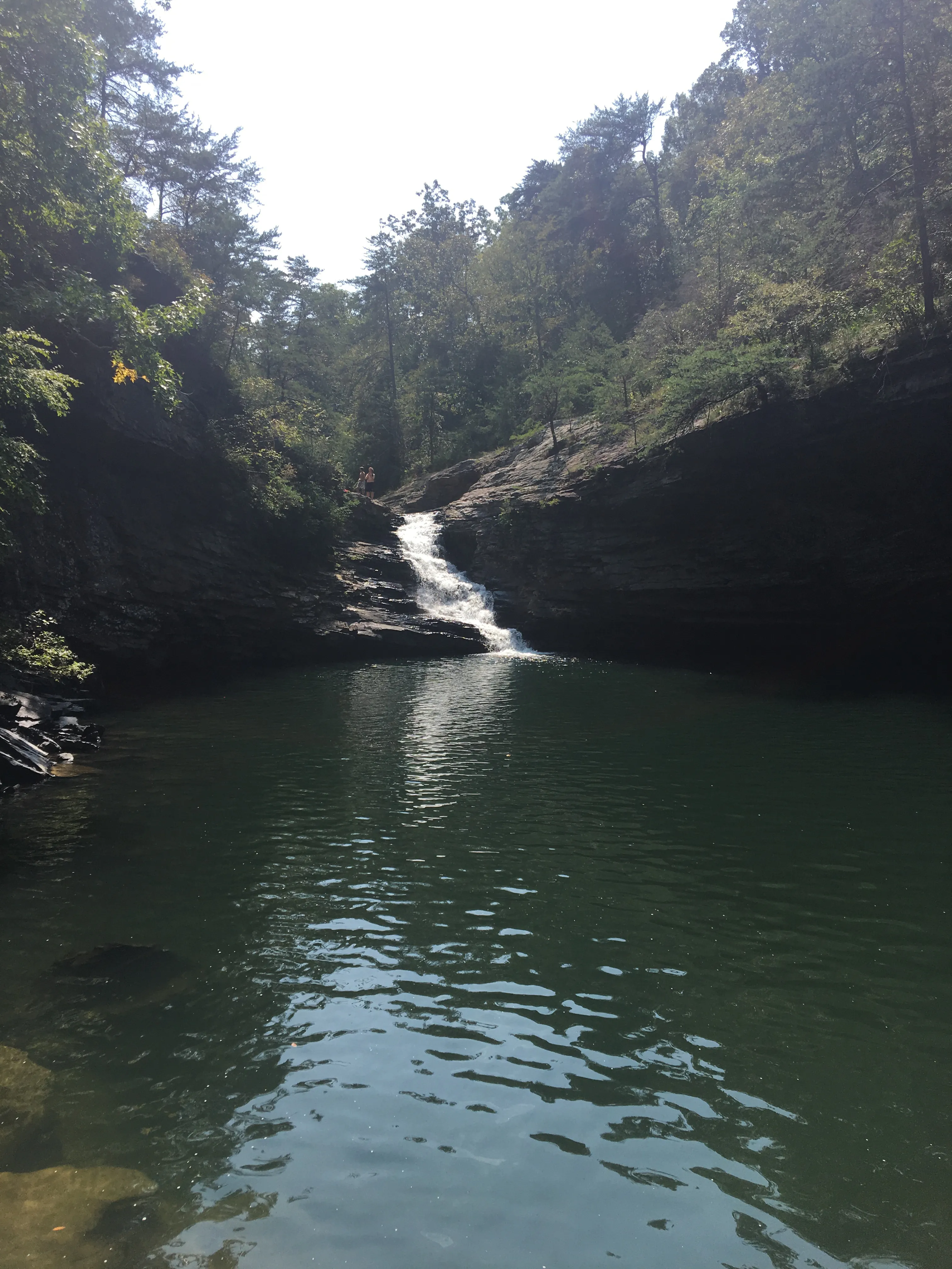 Lula Lake Land Trust