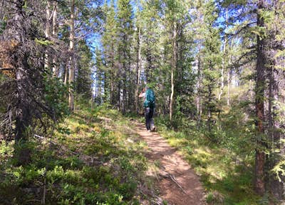 Hike the Auriol Trail in Kluane National Park