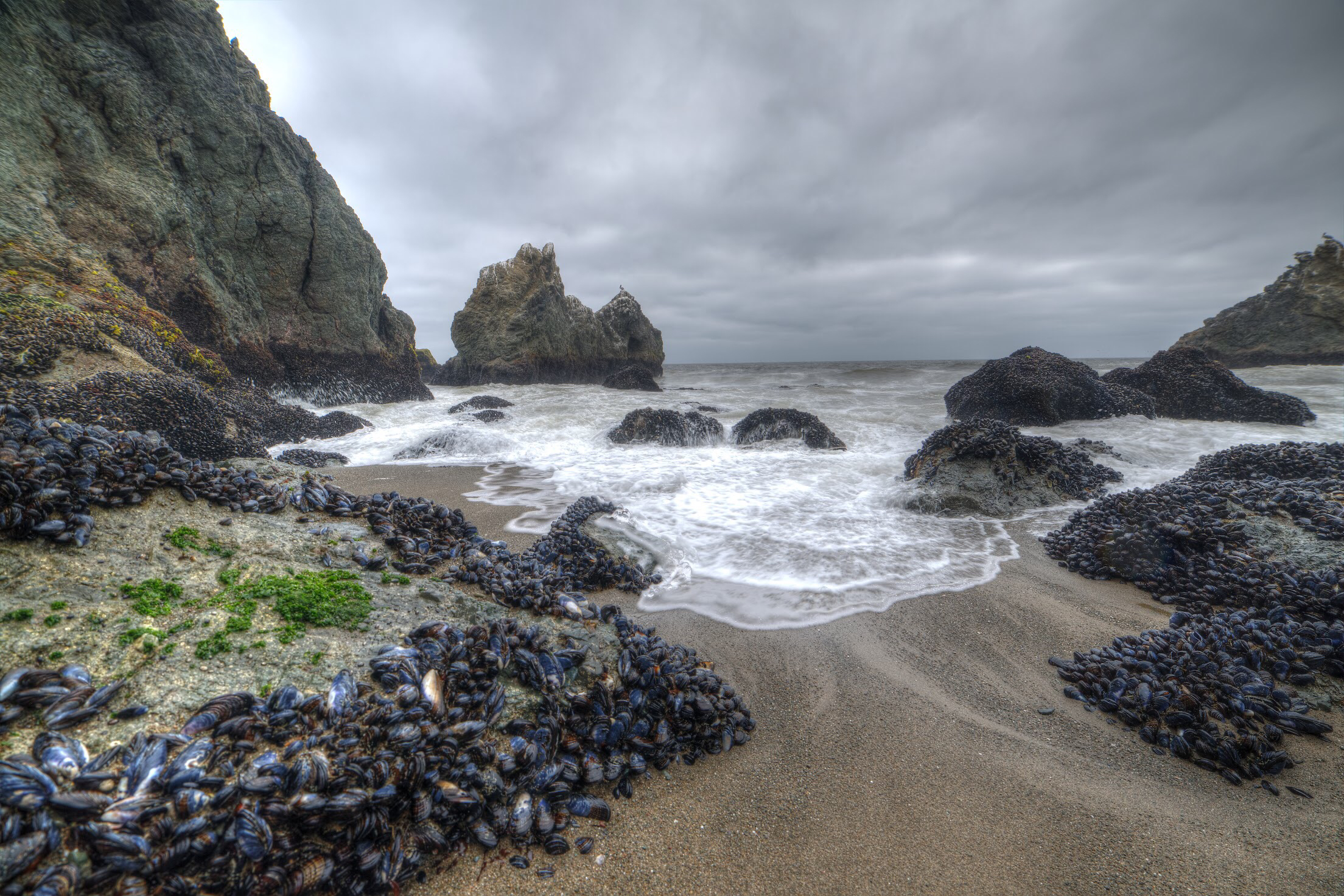 Mussel Rock Loop