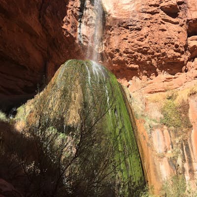 Ribbon Falls in Grand Canyon NP