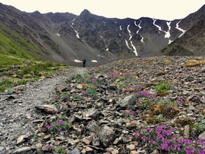 Hike King's Throne Trail