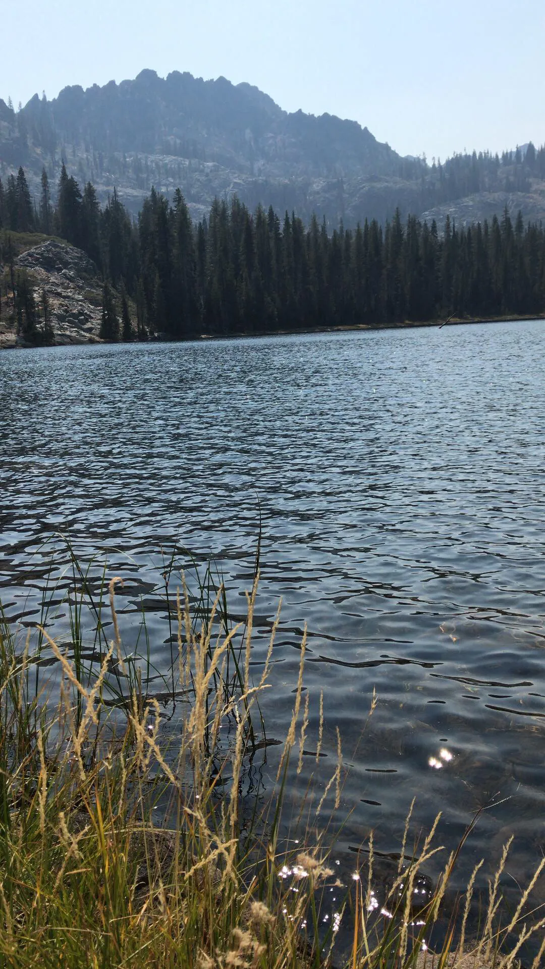 Stoddard Lake 
