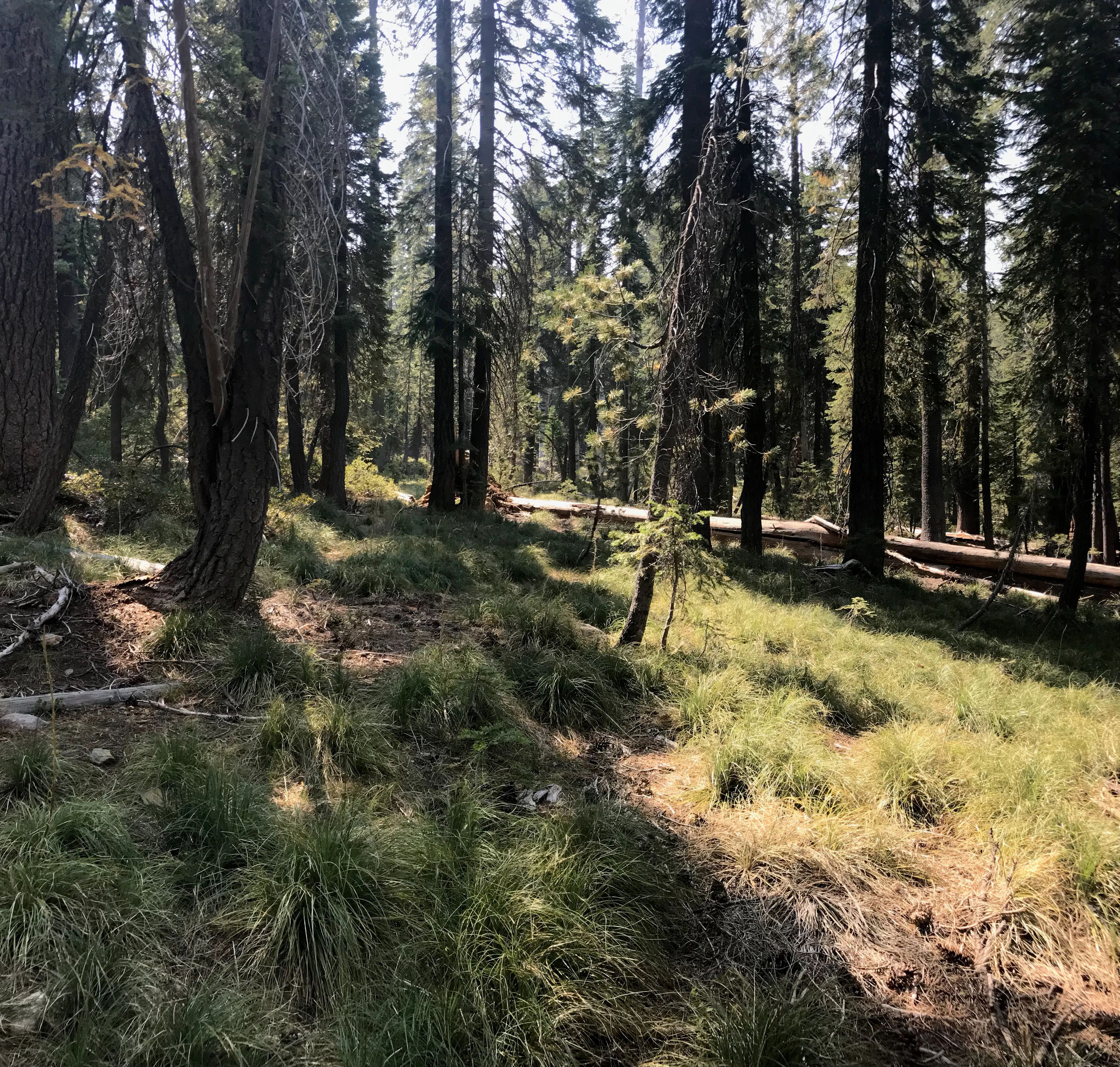 Stoddard Lake 
