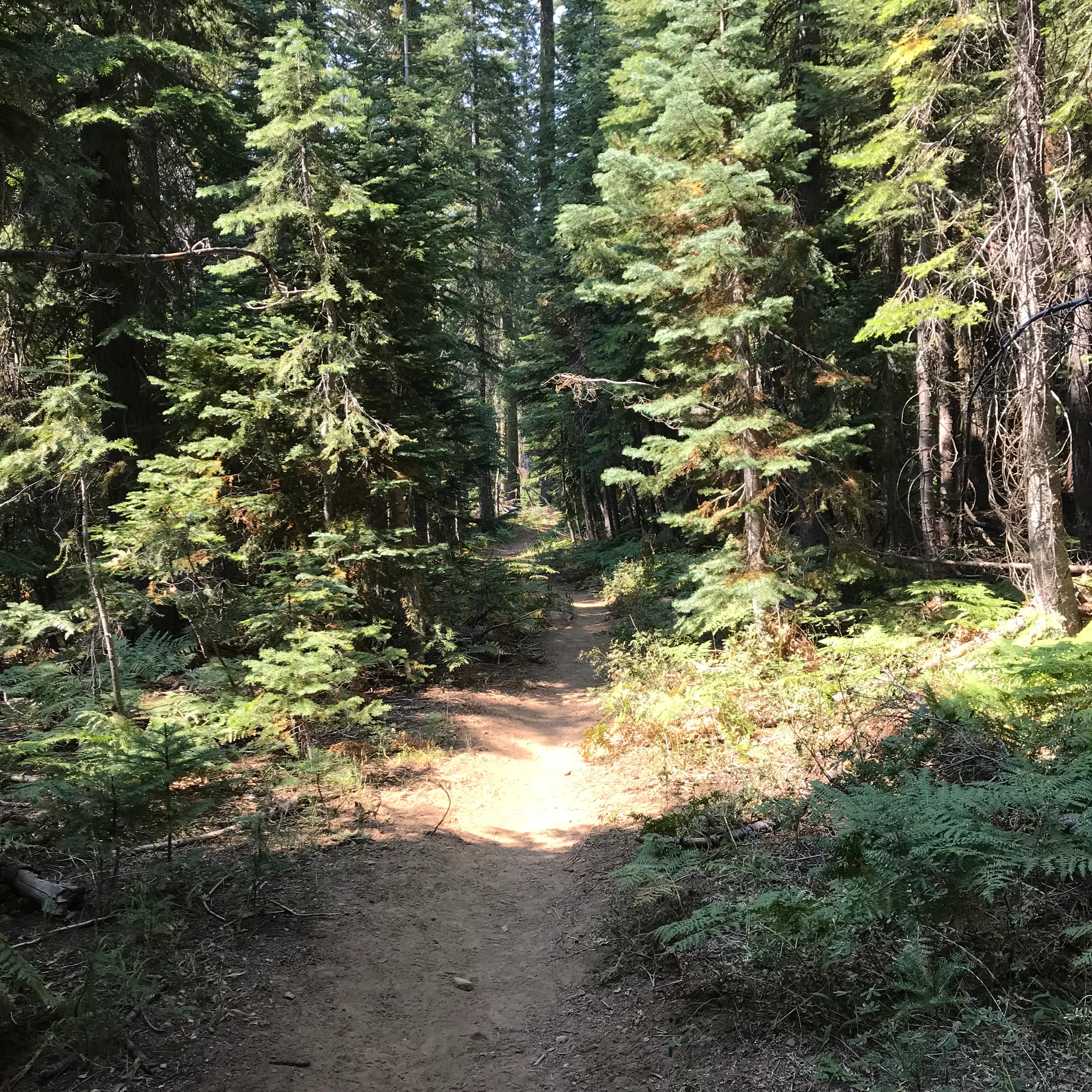 Stoddard Lake 