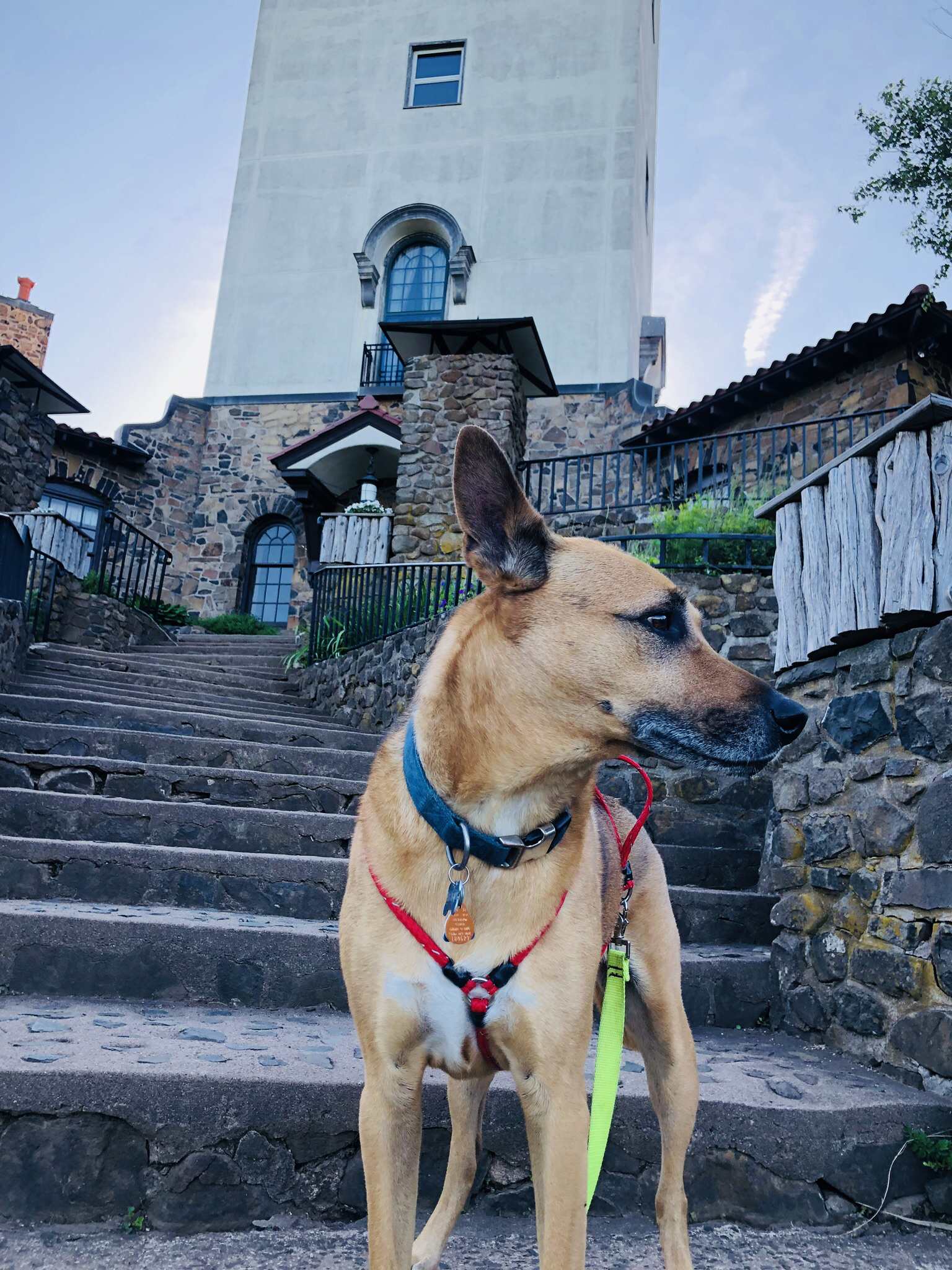 Hike to the Heublein Tower on Talcott Mountain