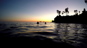 Scuba Dive Shaw’s Cove, Laguna Beach