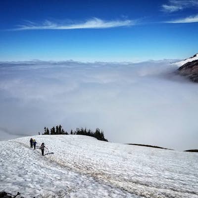 Hike to Camp Muir, Mt. Rainier