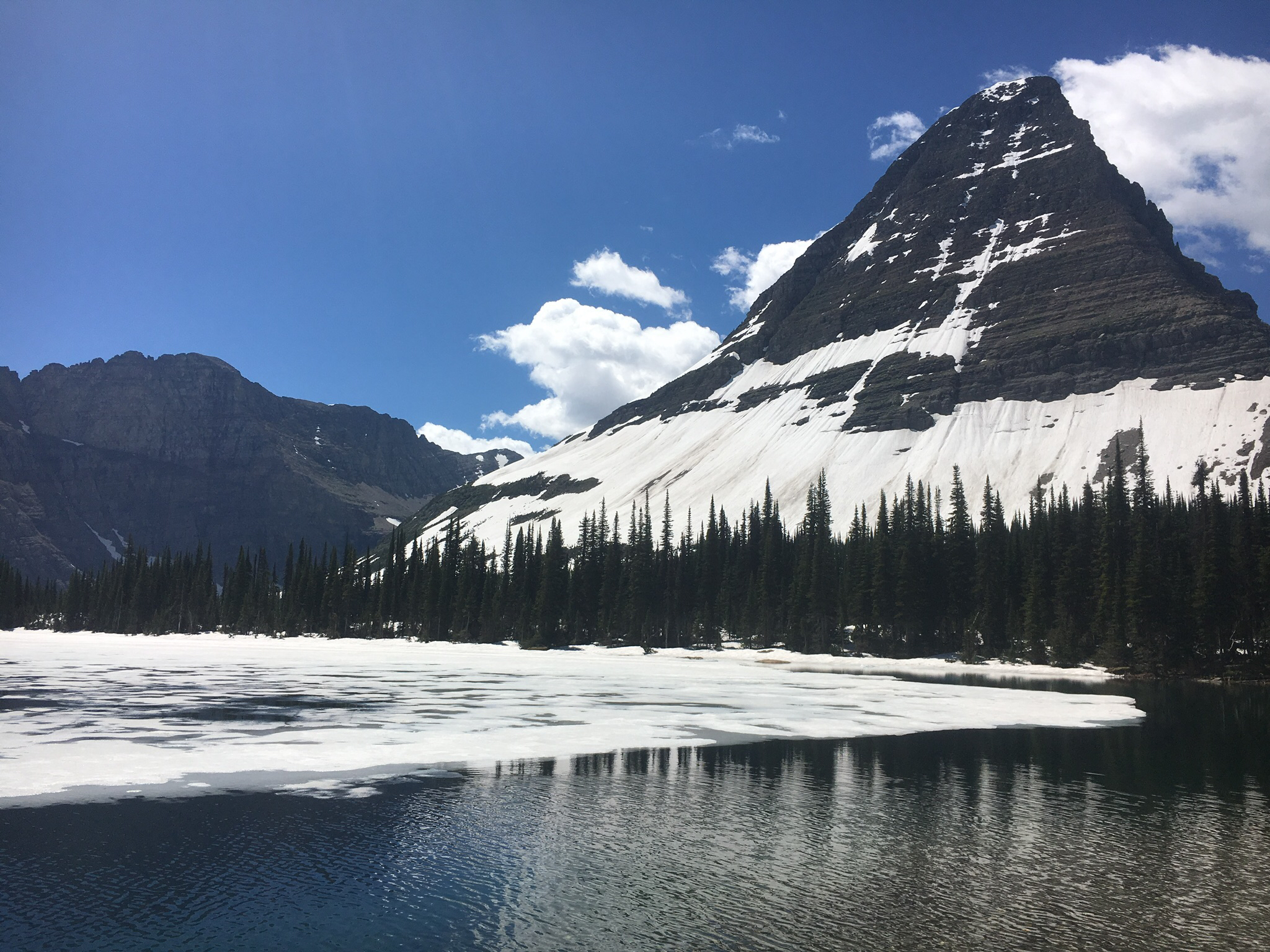 Avalanche Lake via Trail of Cedars