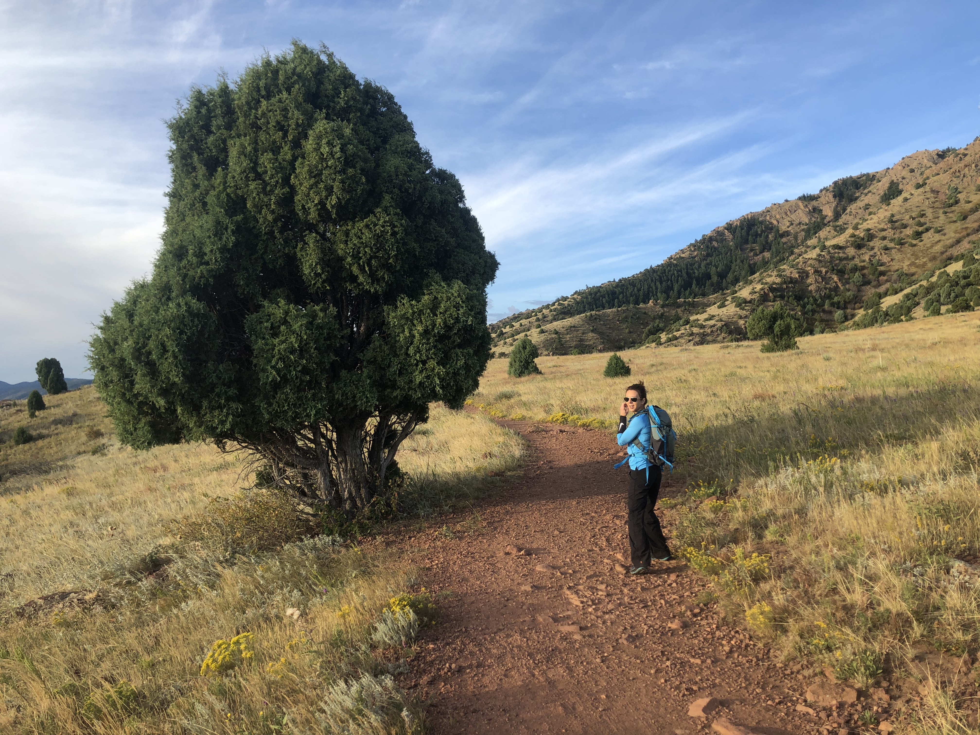 Red Rocks & Dakota Ridge Loop Trail