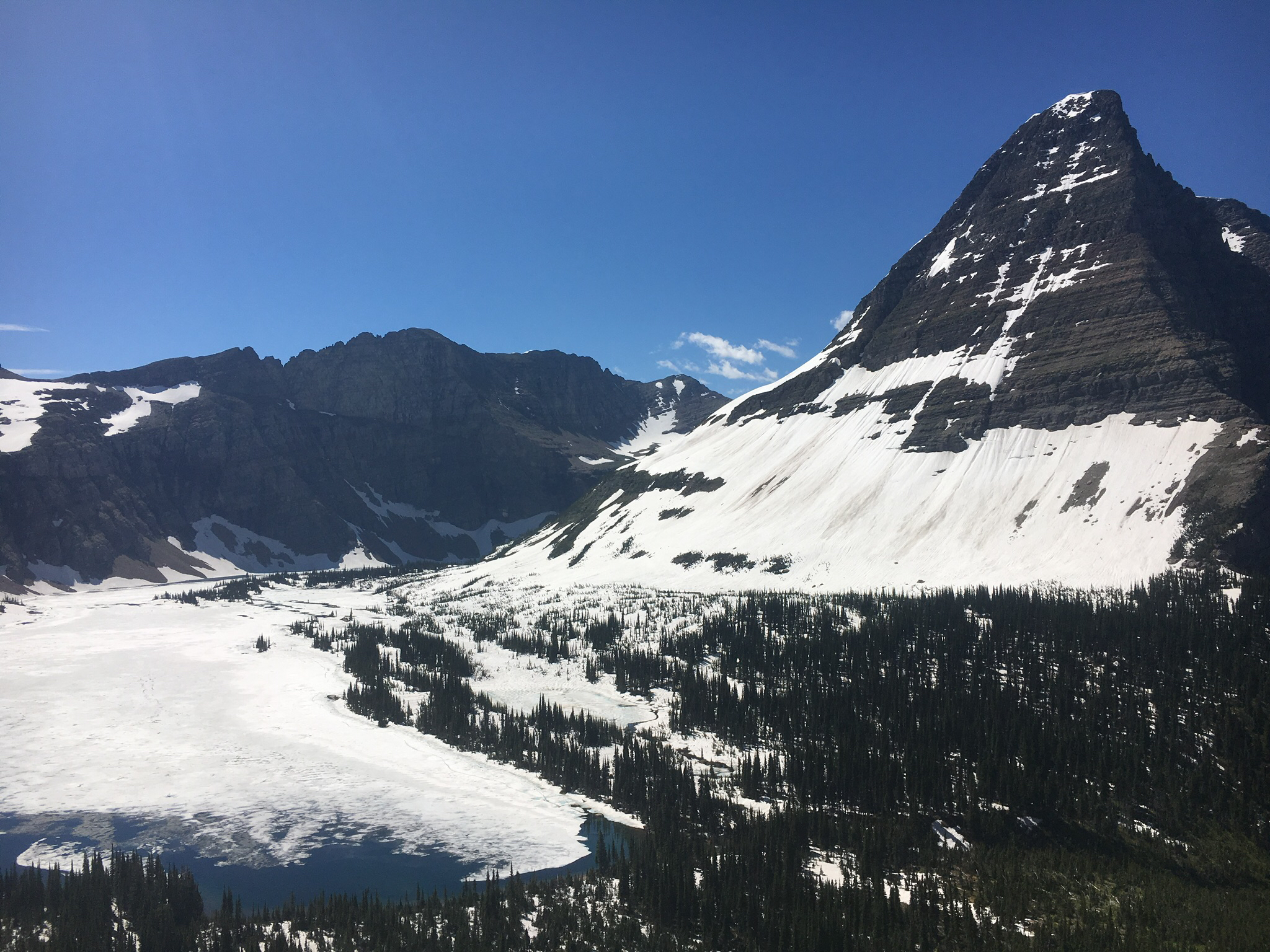 Avalanche Lake via Trail of Cedars