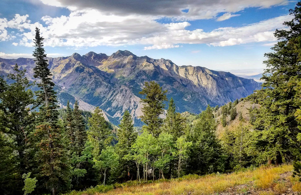 Hike to the Salt Lake Overlook , Desolation Trailhead