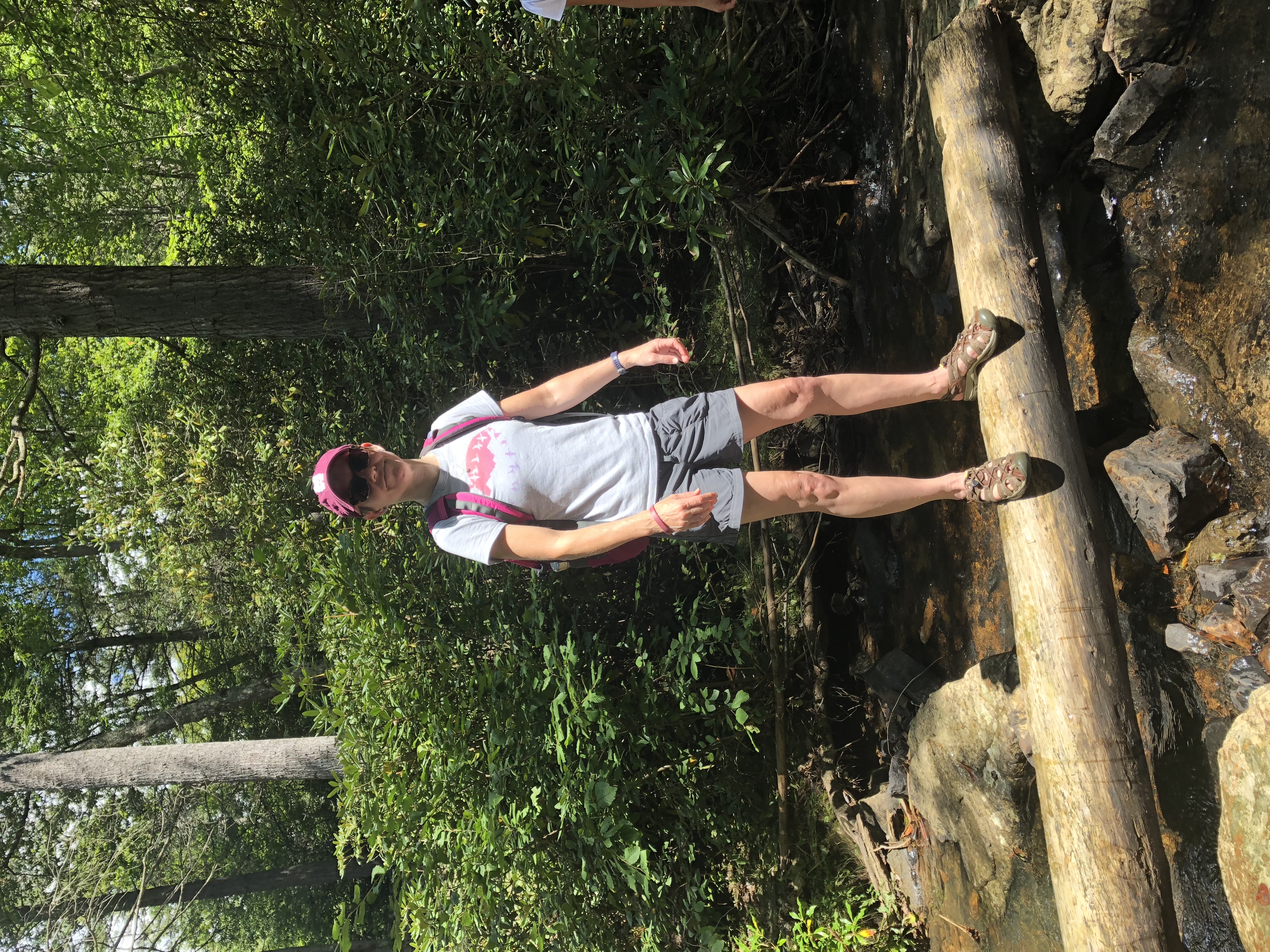 Photograph Dismal Falls 