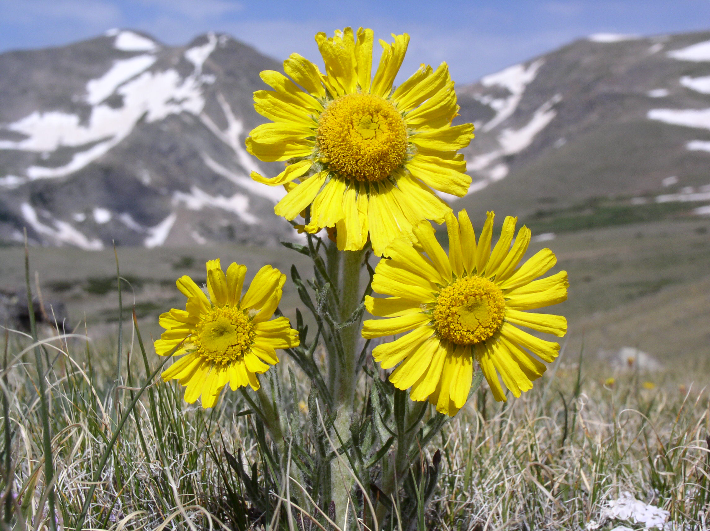 St. Mary's Glacier