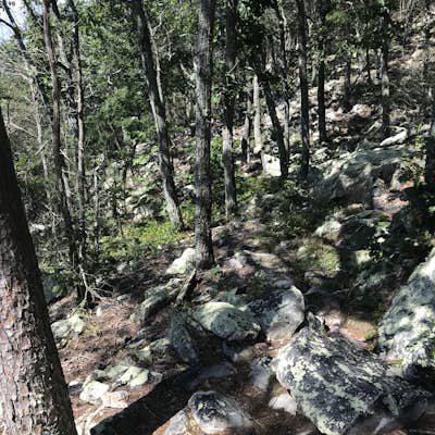 Cave Creek/Pinhoti Trail Loop