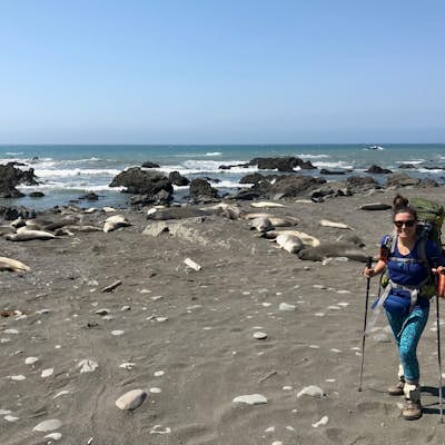 Backpacking the Lost Coast: The Quick and Dirty