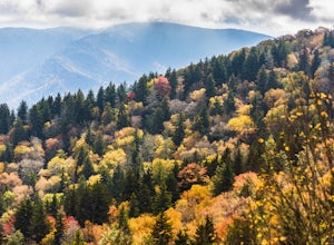 The 5 Best Fall Hikes in the Blue Ridge Mountains
