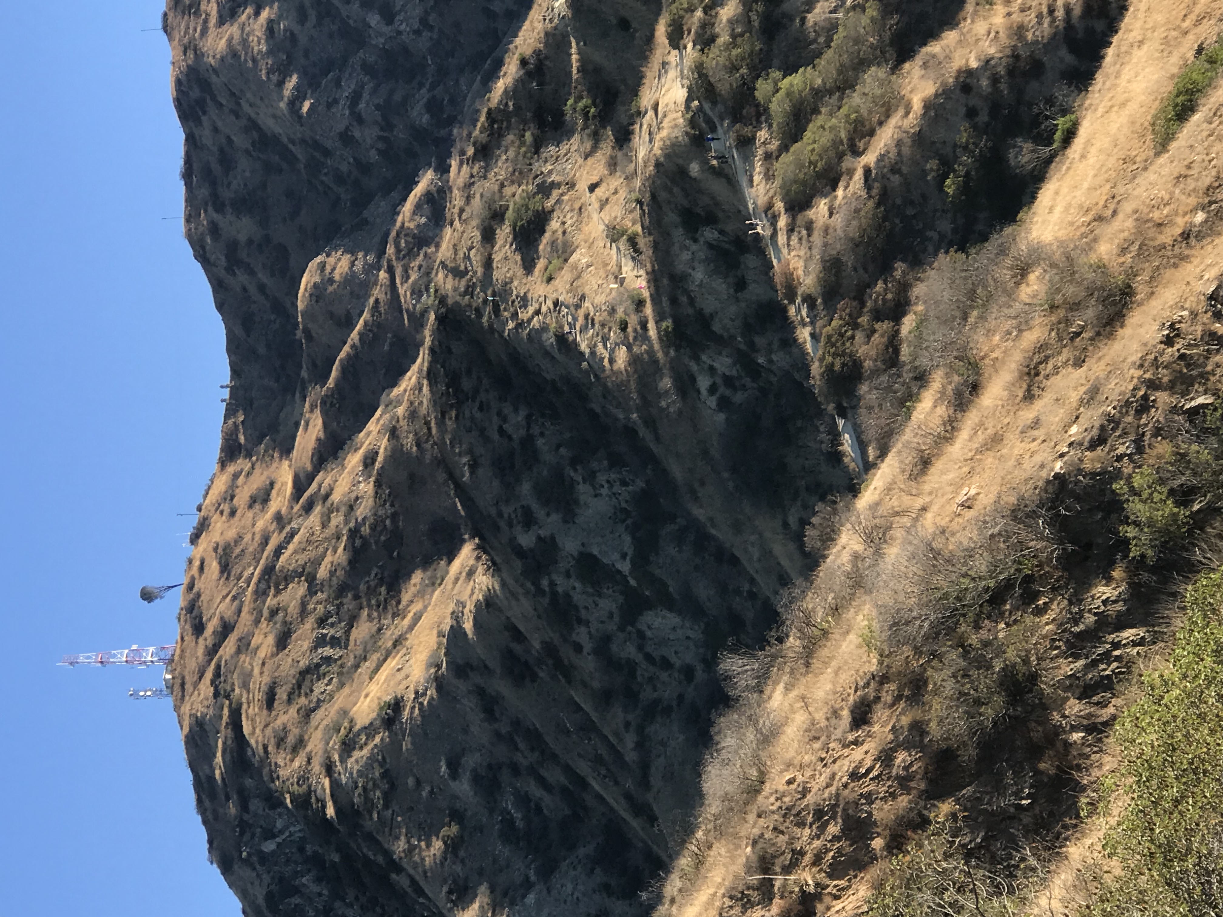 Vital Link Trail