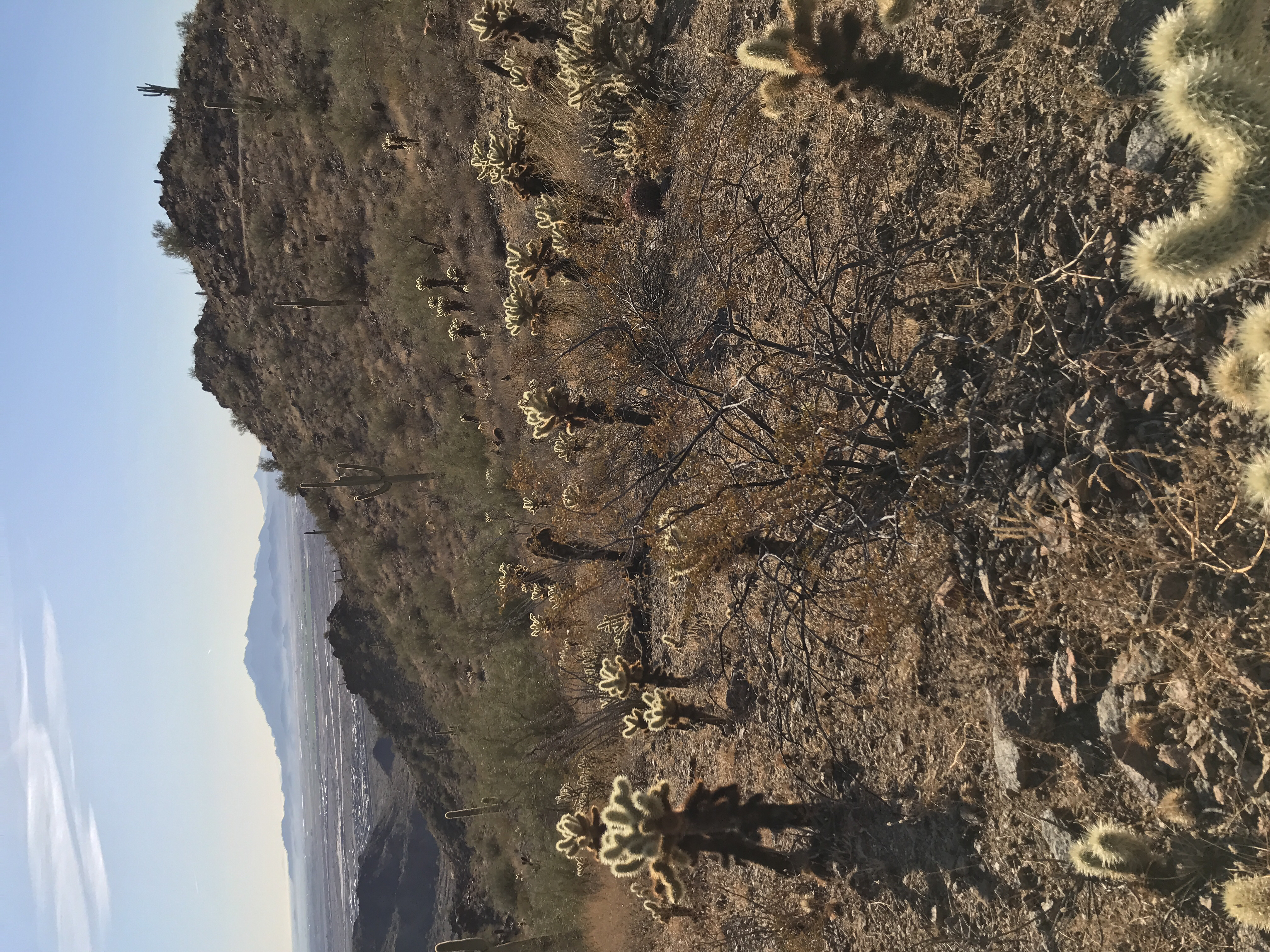 Hike Valley Vista from Turnbuckle Trail