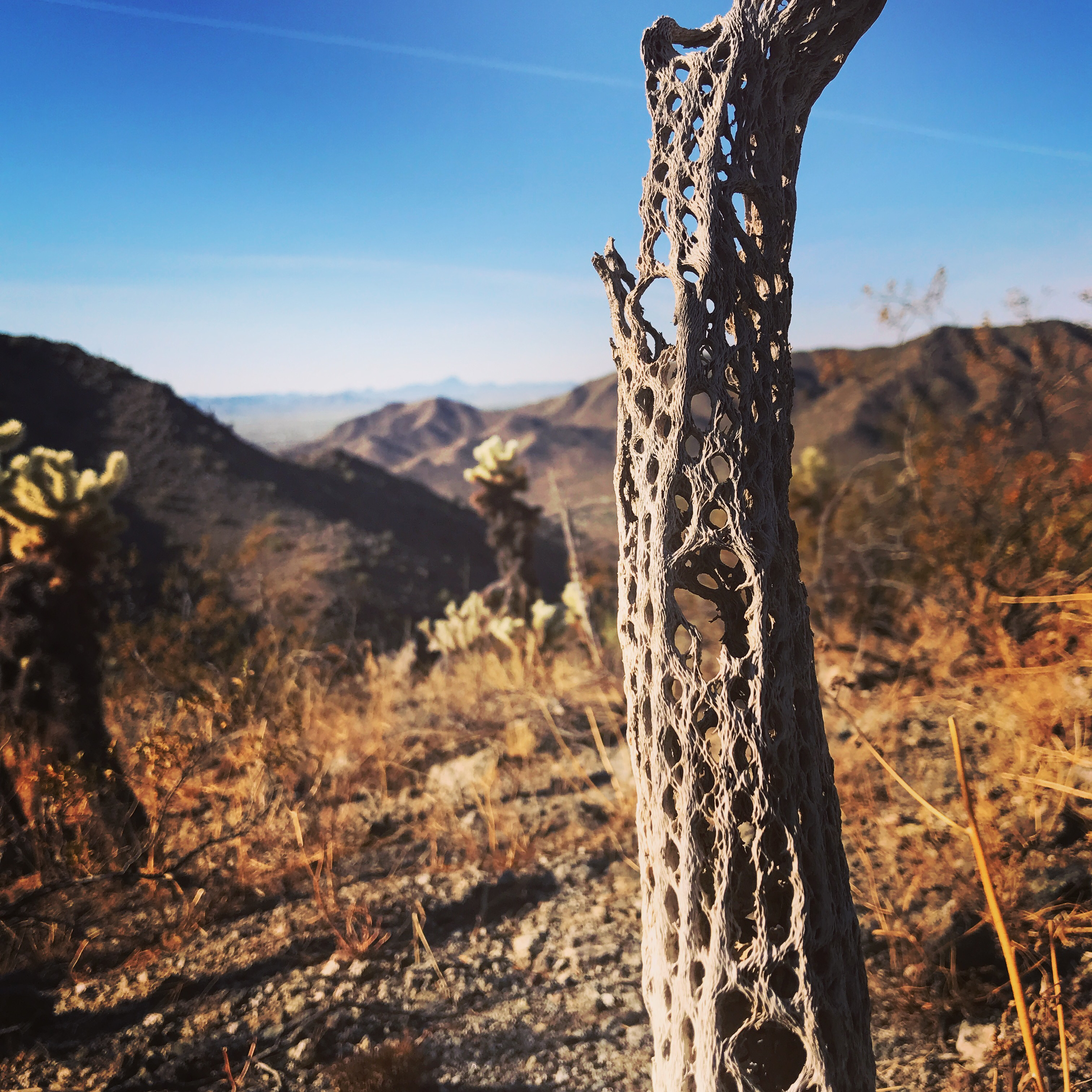 Hike Valley Vista from Turnbuckle Trail