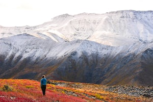 How to Adventure While Pregnant