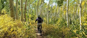 Mountain Bike Deer Valley, Park City