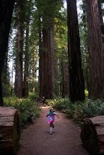 Hike Stout Grove via the Stout Grove Trailhead