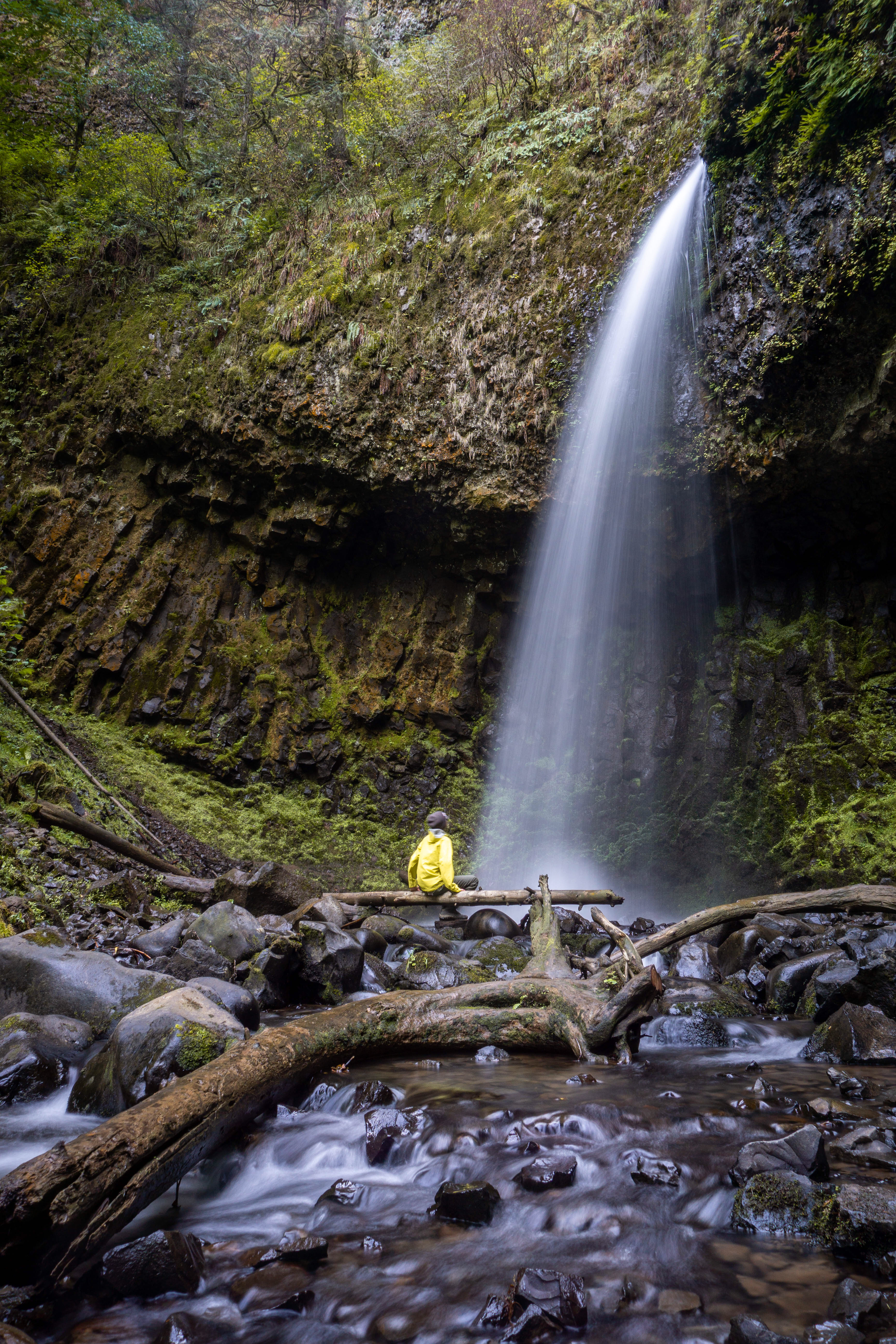 Latourell Falls Loop
