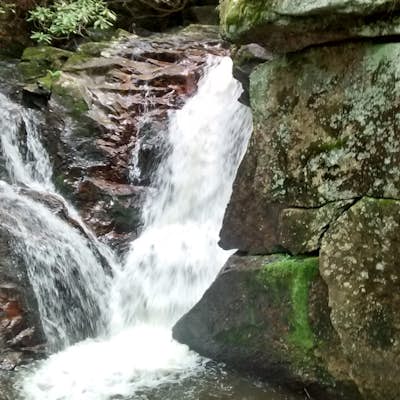 Hike and Traverse the Cables to Dennis Cove Falls