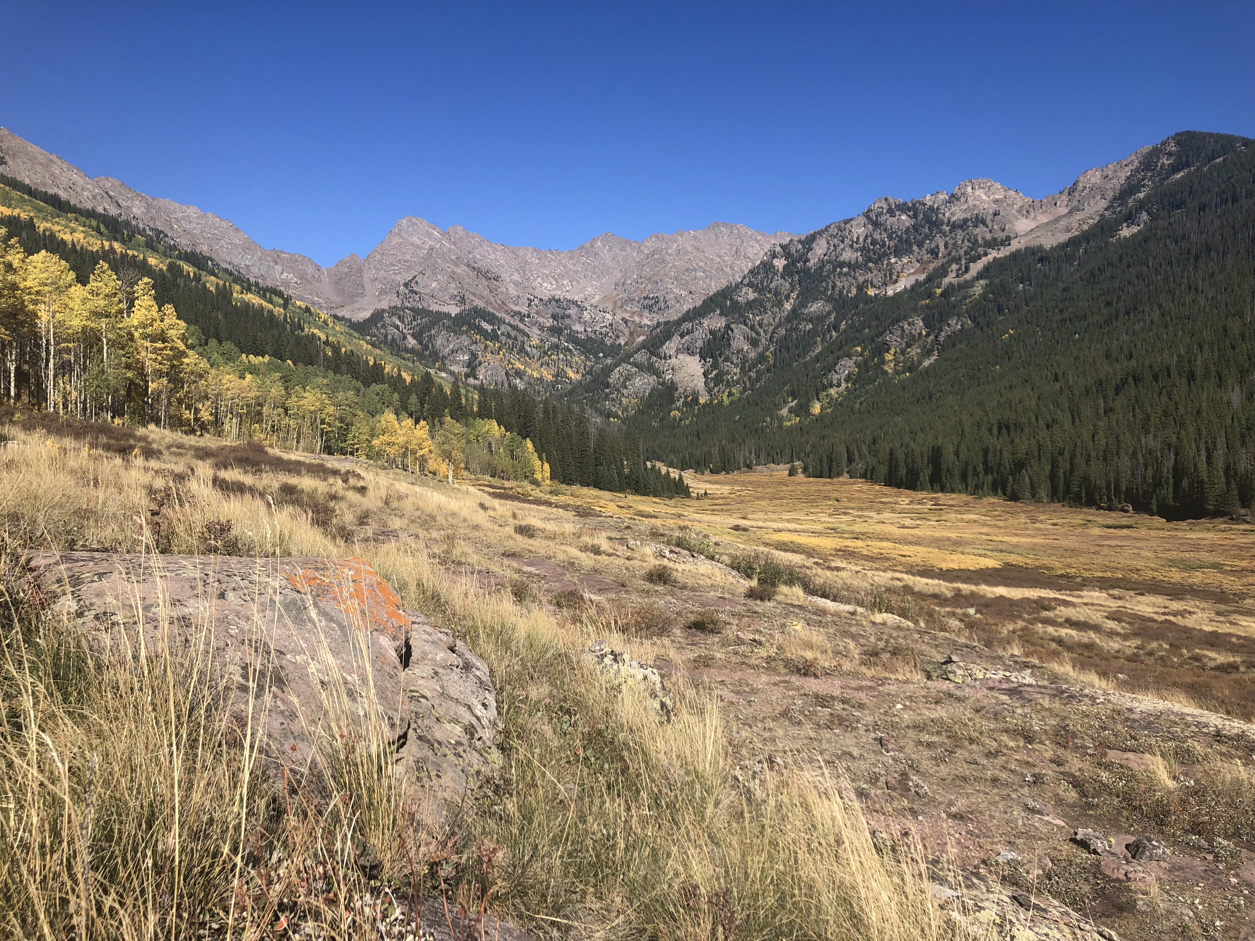 Hike the Upper Piney River Trail