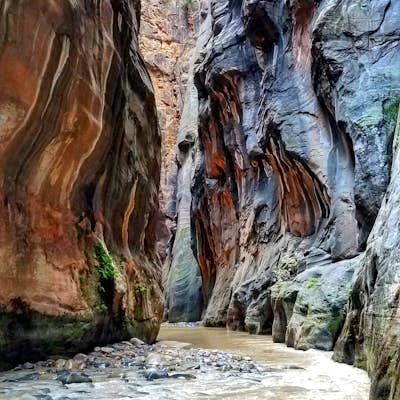 Hike The Narrows: Top Down